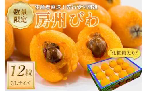 【2025年5月下旬～6月中旬発送予定】房州びわ3Lサイズ以上×12粒（化粧箱入り） 