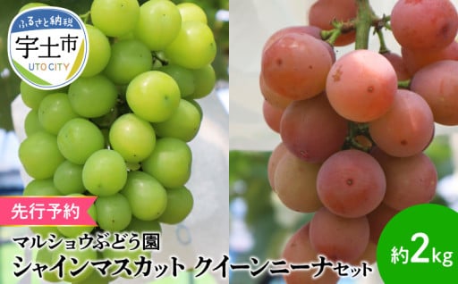 🍇受付はじまりました～🍇