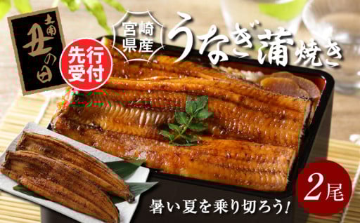 先行予約 2025年 丑の日【7月14～18日お届け】宮崎県産 うなぎ 蒲焼き 2尾セット