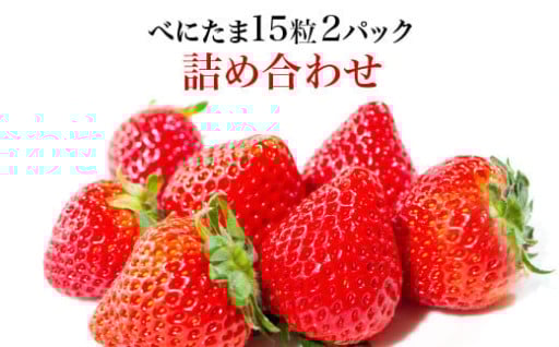 高糖度「べにたま」15粒入り2パック詰合せ