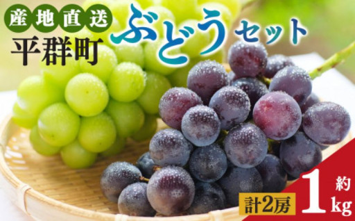 平群のぶどう（巨峰・ピオーネ等）＆ シャインマスカット（各1房 計2房）約1kg