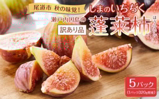 【尾道特産・秋の味覚！しまのいちぢく（訳あり品）】