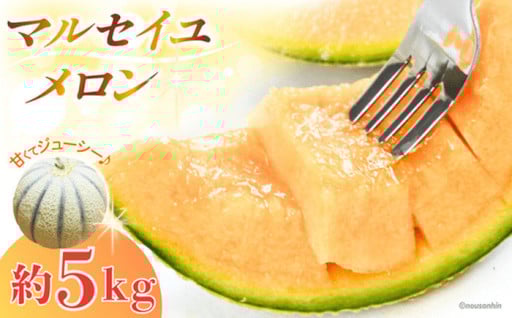 申込は5月まで！＜6月発送＞マルセイユメロン