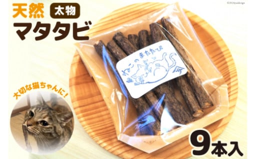 ～山林で採れた天然のマタタビ～
