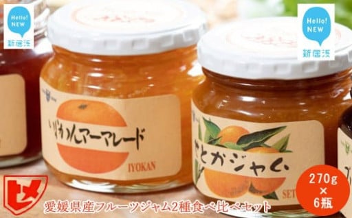 愛媛県産フルーツジャム せとか・伊予柑 2種6瓶