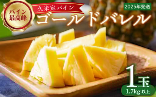 屋定農園「久米定パイン」ゴールドバレル 1玉