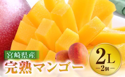 【宮崎県宮崎市】🥭宮崎県産 完熟マンゴー🥭