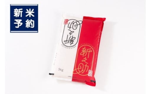 新潟県村上市岩船米 新之助 10kg (5kg×2ヶ月コース）