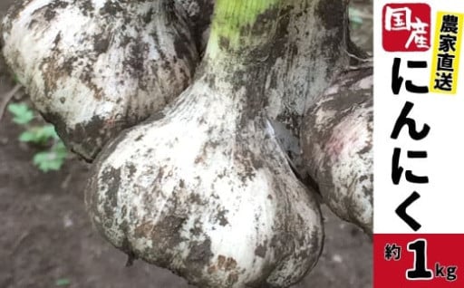 ＜先行予約＞鹿児島県産 にんにく(約1kg)
