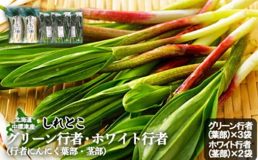 【北海道中標津町】行者にんにくグリーン行者×5袋（葉部・茎部）