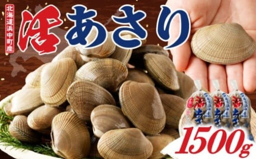 ⏰5月31日まで!!　新鮮な活あさりをお届け!!⏰