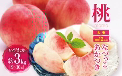 【先行受付】【8月上旬～発送】 桃 約3kg （ 9 ～ 10 玉 ） 