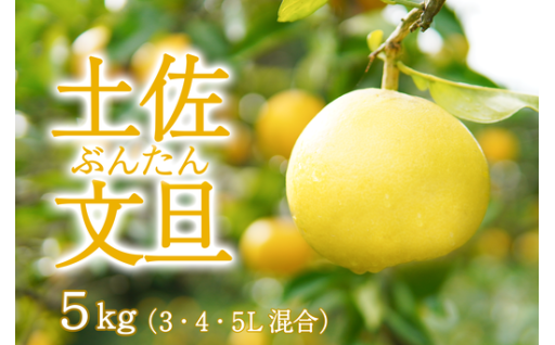 ＼文旦ファン必見／高知の春の味覚【土佐文旦】先行予約スタート！