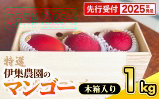 【木箱入】伊集農園 沖縄県産マンゴー （贈答用木箱）約1kg【2025年発送】