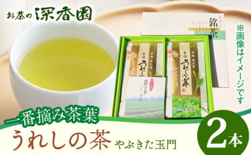 【新茶の季節になりました】武雄市のお茶返礼品をご紹介！