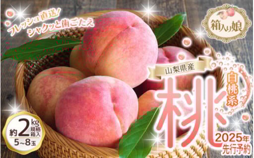 朝もぎ直送！ 「 桃 白桃 系 」 5～8玉