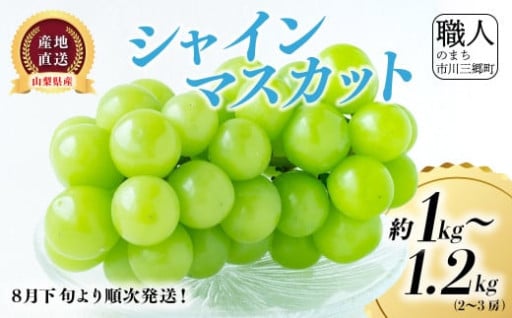 市川三郷町産 シャインマスカット