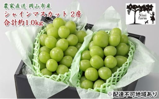  【平均糖度20度】 農家こだわりの シャイン マスカット 2房 合計約1.0kg 贈答クラス