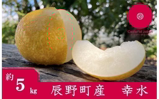 227 先行予約! 梨 幸水 ５㎏
