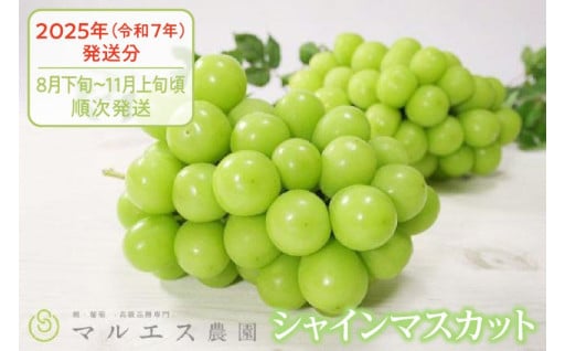 ～マルエス農園は品質を一番に考えております～