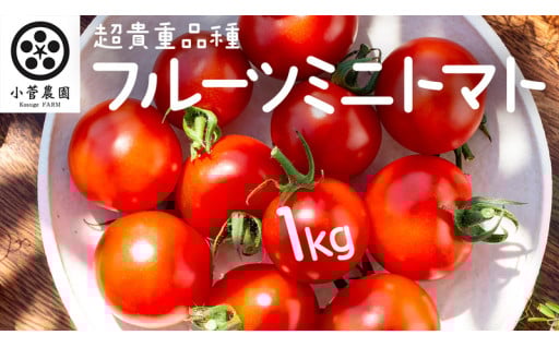 ＼締切間近！／5月末までフルーツミニトマト