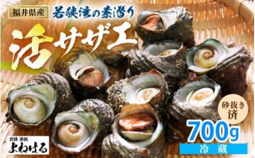 【鮮度抜群】丁寧にひとつひとつ手で獲る👐高品質✨