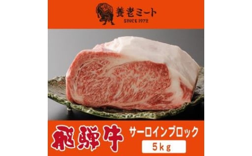 飛騨牛 サーロインブロック５ｋｇ	
