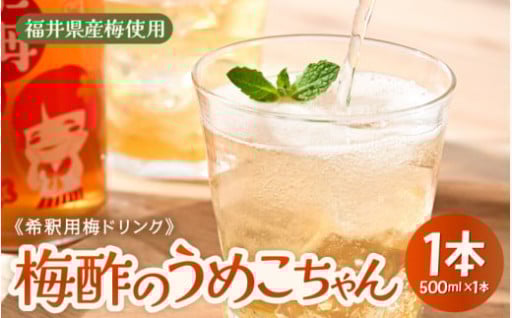 【100％福井梅】疲労回復🌿スッキリ酸味と甘み💚