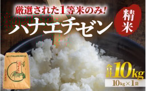 【一等米🏆】発送直前精米で鮮度抜群✨ブランド米🍚