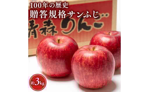 ≪12月発送 ≫ 100年の歴史 贈答規格サンふじ 約3kg【田中農園 青森りんご 平川市産】