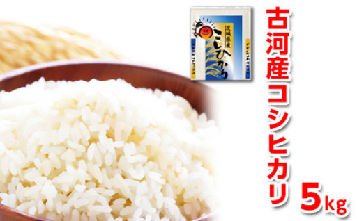 【在庫限定復活！！】令和6年産 古河産コシヒカリ（5kg）_DP07