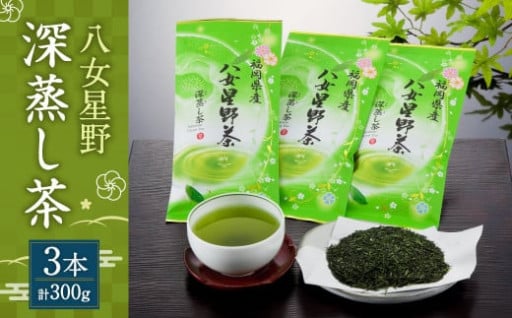 八女星野 深蒸し茶100g 3本詰め