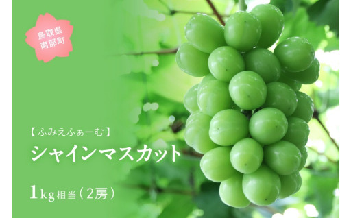 甘くて濃厚な美味しさ！ シャインマスカットはいかがですか♪