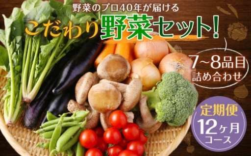 🍅定期便12回 野菜のプロが届ける野菜セット🍆