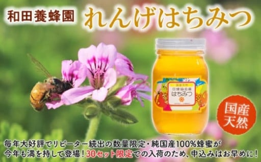 【ふるさとチョイス限定】＼🏵️宇土市産🏵️／天然『れんげはちみつ』
