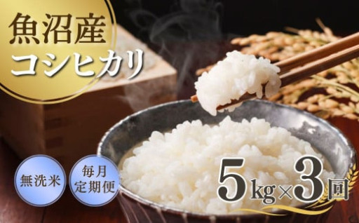 【先行予約】【3か月定期便(毎月全3回)】 令和7年産新米 魚沼産コシヒカリ 無洗米 5kg