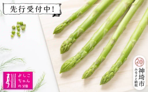 【7月より発送開始】夏芽のアスパラ 1.2kg✨