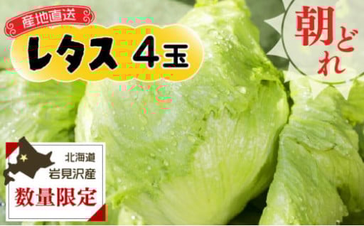 「市場の目利き」が厳選した朝採りレタスをお届けします！