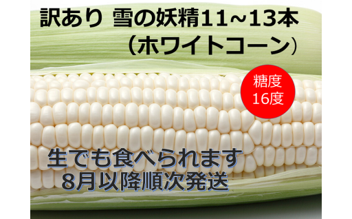 とうもろこしの種まき完了～お楽しみに！