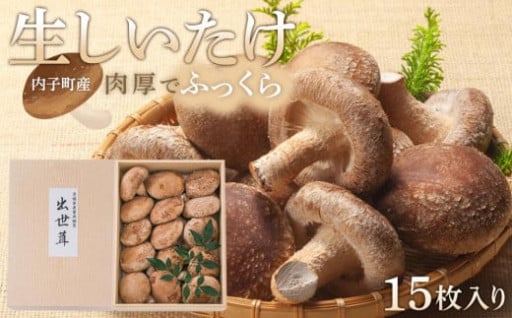 内子町産 生しいたけ 15枚入