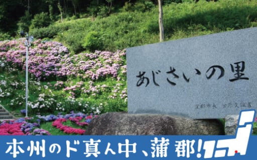 もうすぐ締め切りです・・「あじさいの里」へお越しください！