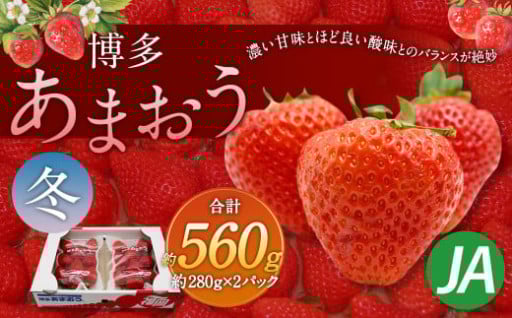 博多 あまおう 2パック（冬）【2025年12月上旬～2026年1月下旬発送予定】