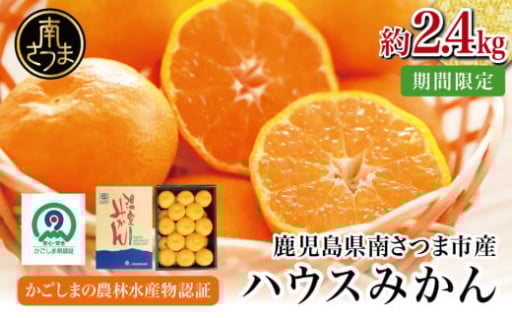 夏限定！甘くてみずみずしい特別なみかん