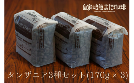 自家焙煎 おだ 珈琲 タンザニア 3種セット