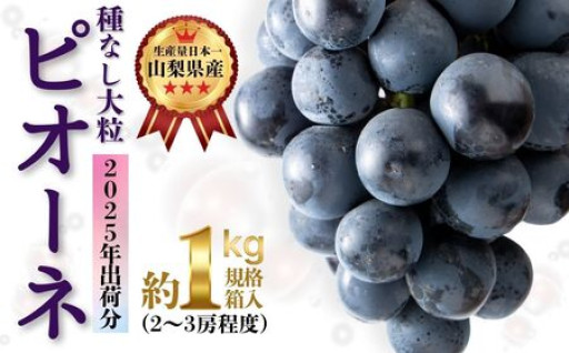 【山梨県産　産地直送】大粒！種なしピオーネ ２房～３房