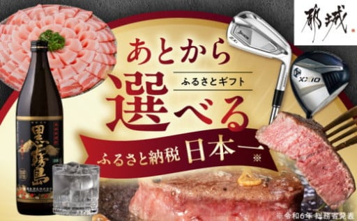 都城市より～あとからセレクト【ふるさとギフト】１万円