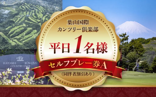 【都心から50分】絶景リゾートで非日常ゴルフ