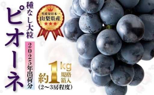 【山梨県産　産地直送】大粒！種なしピオーネ ２～３房