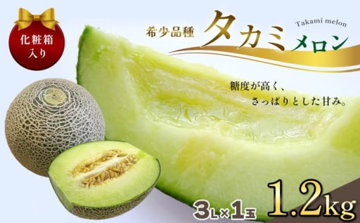 【2026年先行予約】真岡市産 タカミメロン 3L 1玉 化粧箱入り