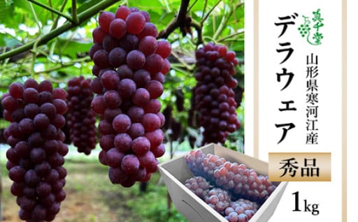 有機堆肥栽培 ぶどう「デラウェア」1kg